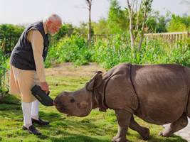 Indien: Wie kritische Berichte über den größten Zoo der Welt verschwinden