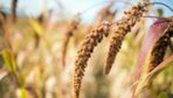 essen & trinken: versuchsküche begleitet wandel in der landwirtschaft