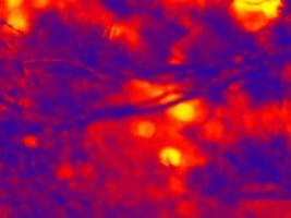 Gar nicht so mystisch: Forscher finden heraus, wie Irrlichter entstehen