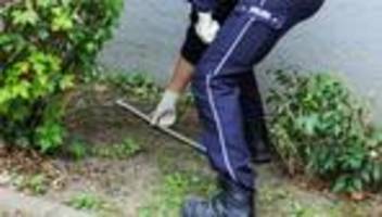 Tödliche Gewalteskalation: Tödlicher Familientumult: Drei Männer in Untersuchungshaft