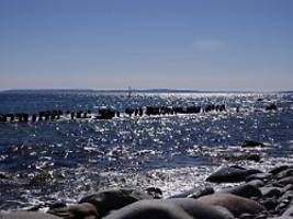 Gefährliches Ungleichgewicht: Meerestemperatur auf Rekordwert - Anstieg in Ostsee besonders stark