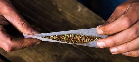 Cannabislegalisierung hat Schwarzmarkt nicht eingedämmt
