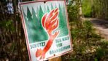 bilanz 2025: großbrand lässt waldbrandfläche in sachsen-anhalt steigen