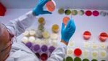 gesundheit: mehr ehec-infektionen bundesweit – drei neue fälle in mv