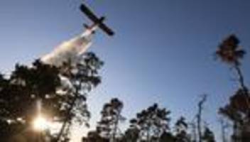 waldbrände: harzer löschflugzeug mit sechs einsätzen