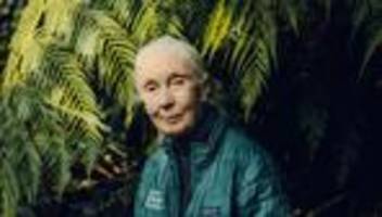 Jane Goodall: Du musst dein Herz zeigen