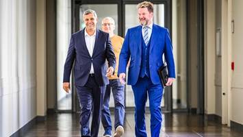 Berlin bekommt nun doch ein riesiges Programm für mehr Bäume