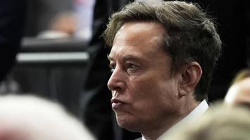 Kampf gegen Wikipedia: Elon Musk will eigene Web-Enzyklopädie