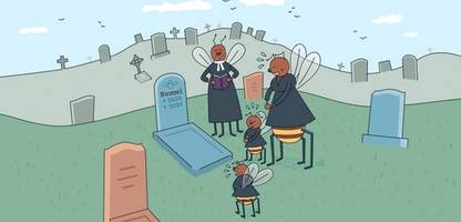 Rätsel des Alltags: Warum sterben so viele Bienen und Wespen im Herbst?