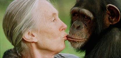 Jane Goodall: Die Grande Dame des Naturschutz ist tot