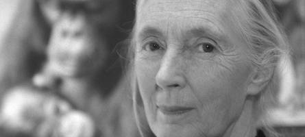 Schimpansen-Forscherin Jane Goodall ist tot