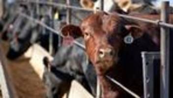 Nahrungsmittelproduktion: Ernährungsweise trägt weiterhin stark zur Klimakrise bei