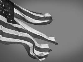 ideas: america’s zombie democracy