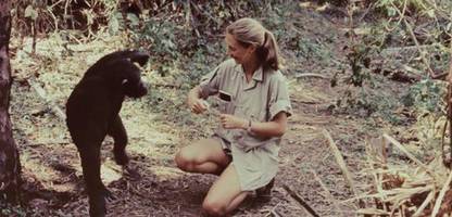 Jane Goodall: »Ich habe einfach meinen Traum verfolgt«