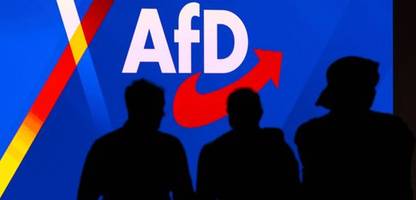 spd-rechtsexperten wollen afd-verbotsverfahren prüfen