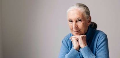 Jane Goodall ist tot: Reaktionen von Uno, Prinz Harry und Meghan, Leonardo DiCaprio, Barack Obama und Co.