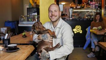 hamburg hat jetzt ein dackel-café – „was für eine wunderbare idee“