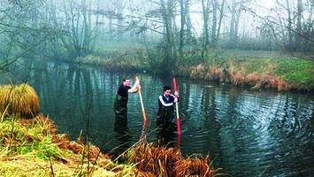 hochwasserschutz in bergedorf: mittlere bille wird entschlammt