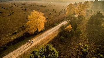 Saison-Ende in Sicht: Noch einmal kostenlos mit dem Rad in die Heide