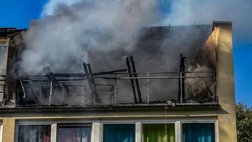 wohnung in billstedt in flammen – bewohnerin gerettet, katze vermisst