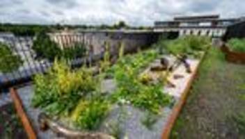 gelder fehlen: fördertopf leer: keine neuen klimaschutz-anträge möglich