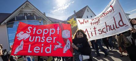 600 menschen gehen gegen kaninchenbetrieb auf die straße: bilder von der demonstration