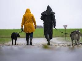 Sturmflut und Hagel: Orkantief fegt mit bis zu 110 km/h über Norddeutschland