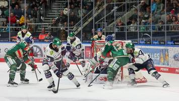 Eisbären sammeln neuen Mut, doch die Baustellen sind riesig