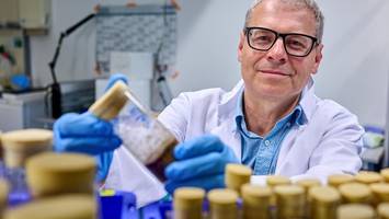 Wie Forscher mit Fliegen das Alzheimer-Geheimnis entschlüsseln
