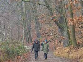 Die Wetterwoche im Schnellcheck: Novemberstimmung im Oktober - es wird kühl und Nass