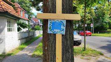 Vor großer Baum-Offensive: Wo bislang gepflanzt und wo gefällt wurde