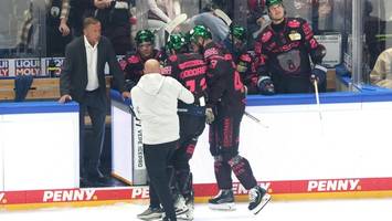Eisbären wehren sich heftig gegen die Misere