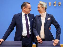 AfD-Parteispitze: Wer ist hier der Chef?