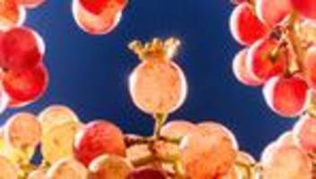 die deutsche weinkönigin: heute kein könig