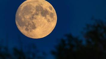 Spektakel am Nachthimmel: Supermond trifft Sternschnuppen