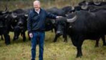 artenvielfalt: scholz besucht wasserbüffel-projekt bei werder