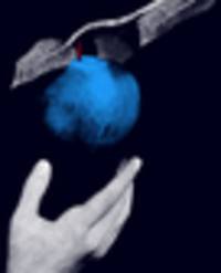 nathanael liminski: als partei der mitte führen wir keine kulturkämpfe