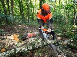 Für Arbeiten an kräftigem Holz: Das sind die besten Benzin-Motorsägen