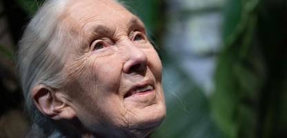 Jane Goodall sagte, sie hätte Donald Trump und Elon Musk gern ins All geschossen – Netflix-Interview