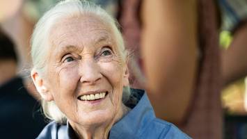 In letztem Interview rechnet Jane Goodall mit Trump und Co. ab