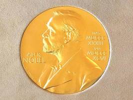 Stockholm: Chemie-Nobelpreis für drei Materialforscher