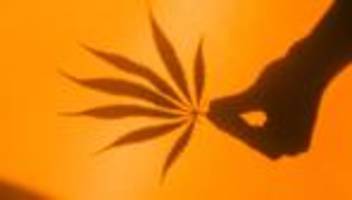 Medizinisches Cannabis: Kein Gras mehr im Sommerschlussverkauf