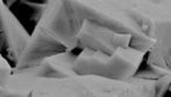 nobelpreis für chemie: hiermit rettet sich der mensch vielleicht ein wenig vor sich selbst