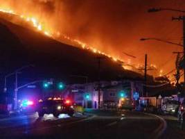 Festnahme in Florida: 29-Jähriger soll für Palisades Fire in L.A. verantwortlich sein