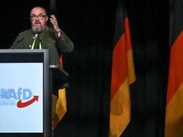 Ärger nach besuch in botschaft: afd-politiker nehmen an putin-ehrung in berlin teil