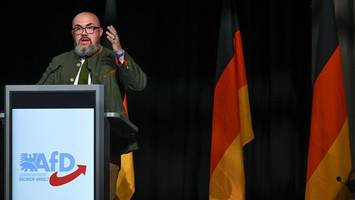 afd-politiker bei putin-ehrung in russischer botschaft in berlin