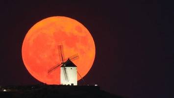 Supermond: Ist der Hype um das Himmelsphänomen gerechtfertigt?