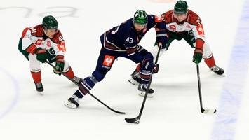 eisbären: „vielleicht gehe ich am sonntag in die kirche“