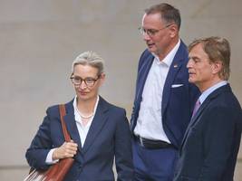 Verteidigung: AfD streitet über Wehrpflicht