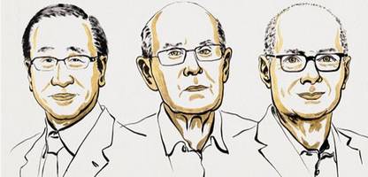 Nobelpreis für Chemie geht an Materialforscher Susumu Kitagawa, Richard Robson und Omar Yaghi